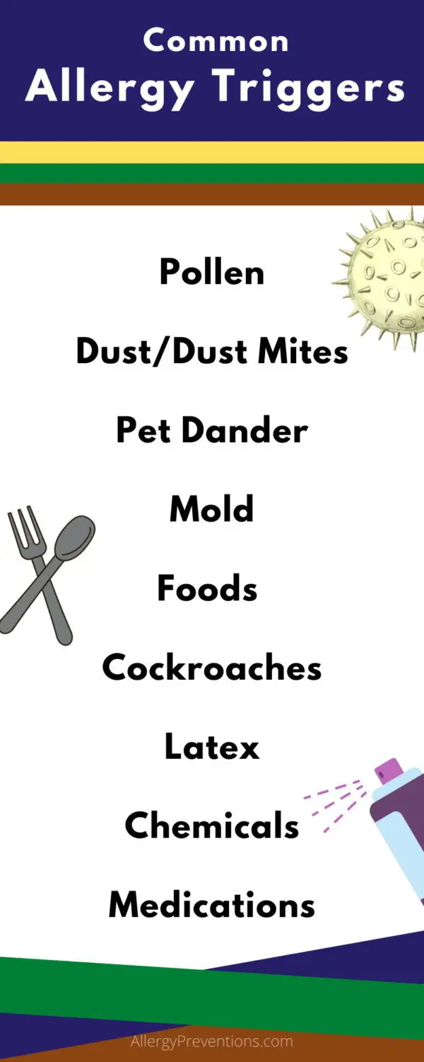 common-allergy-triggers-infographic-Pollen Dust/Dust Mites Pet Dander Mold Foods Cockroaches Latex Chemicals Medications