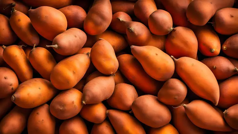 A pile of many red sweet potatoes.