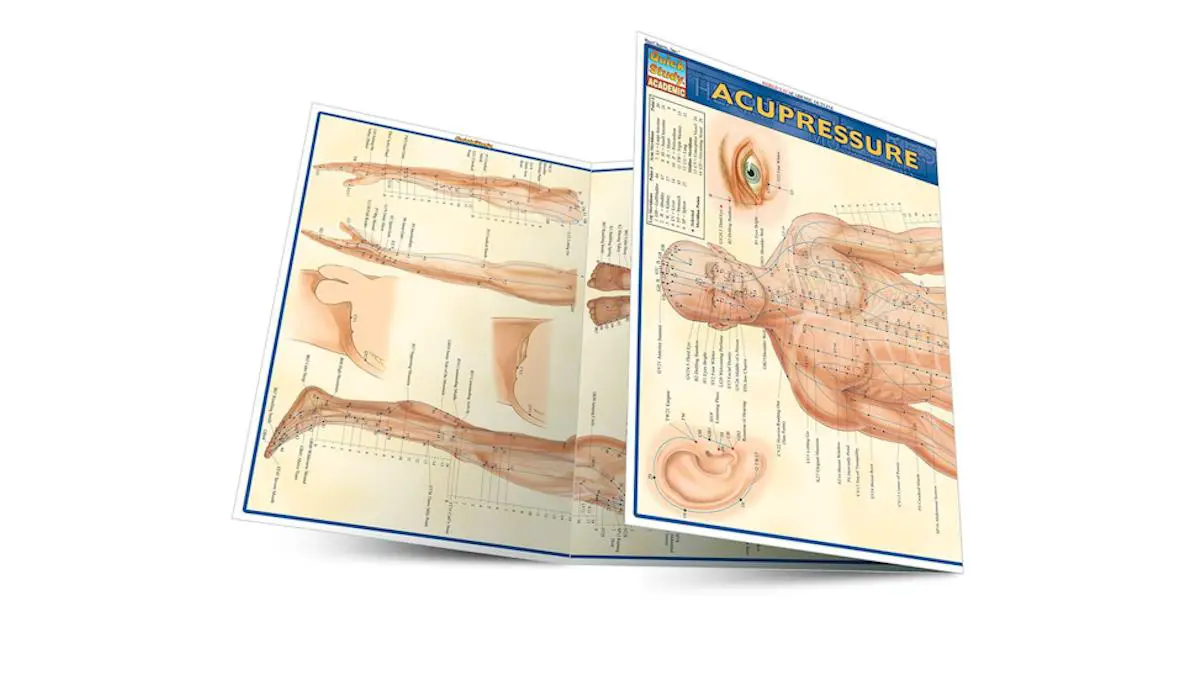 A chart or map of the different acupressure spots on the body.