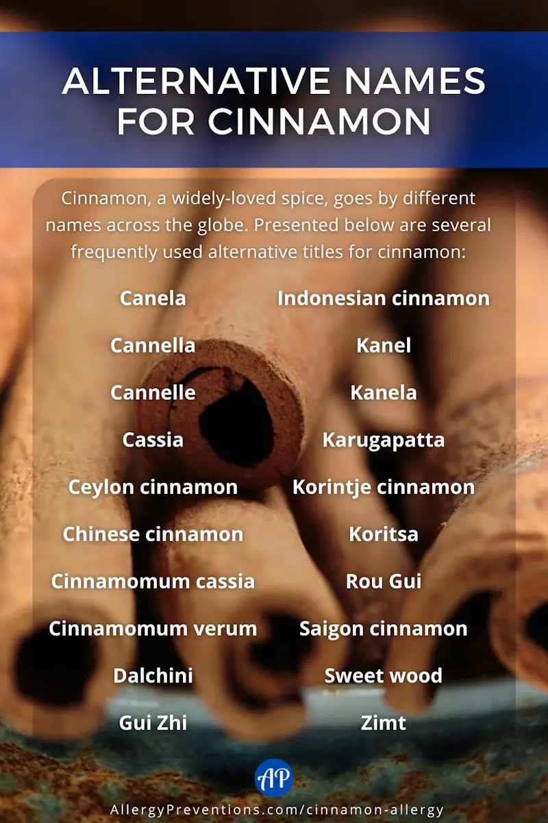 Alternative names for cinnamon infographic. Cinnamon, a widely-loved spice, goes by different names across the globe. Presented below are several frequently used alternative titles for cinnamon: Canela, Cannella, Cannelle, Cassia, Ceylon cinnamon, Chinese cinnamon, Cinnamomum cassia Cinnamomum verum, Dalchini Gui Zhi, Indonesian cinnamon, Kanel, Kanela, Karugapatta, Korintje cinnamon, Koritsa, Rou Gui, Saigon cinnamon, Sweet wood, Zimt.
