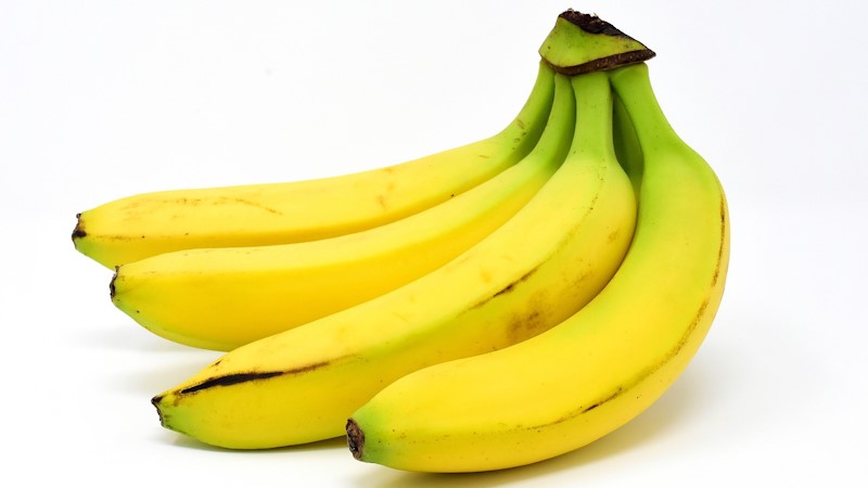 A hand of four yellow, ripe bananas.