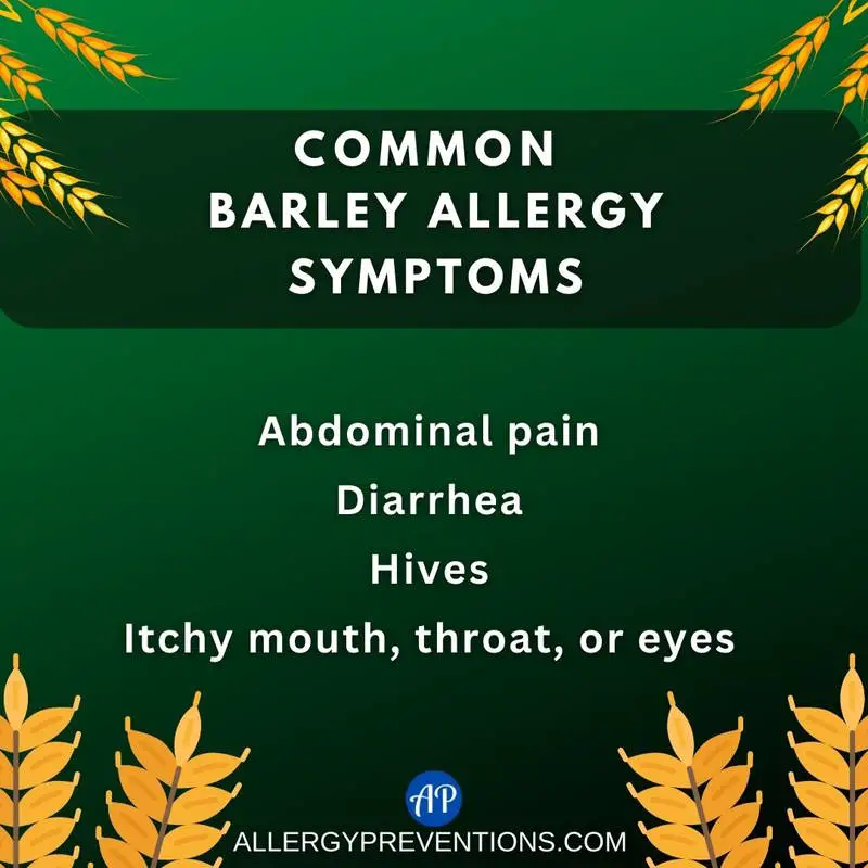 Common barley allergy symptoms infographic. Symptoms of barley allergies: Abdominal pain, diarrhea, hives, itchy mouth, throat, or eyes.