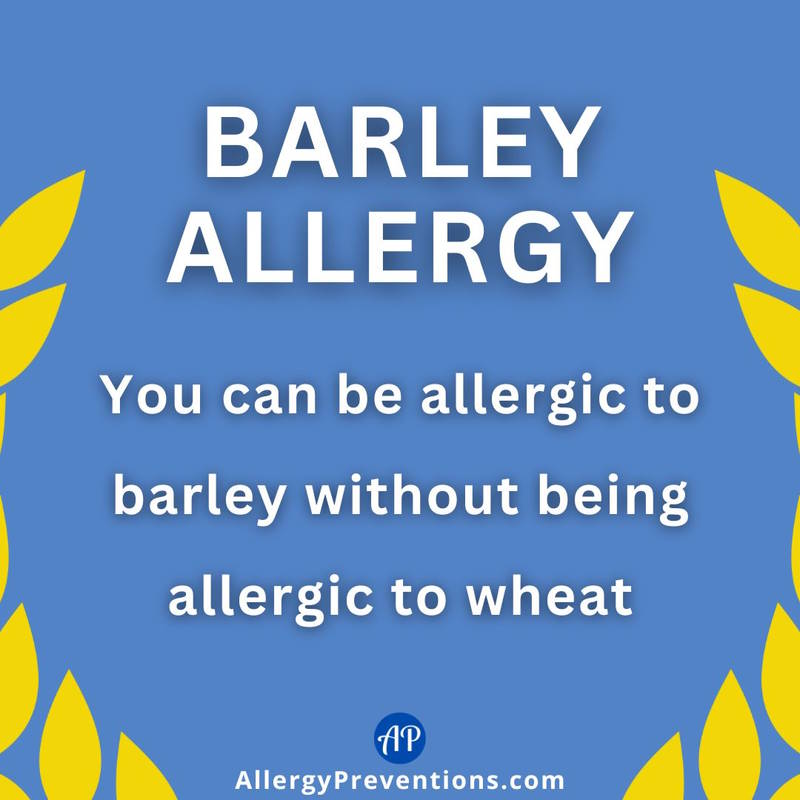 Barley Allergy fact. You can bee allergic to barley without being alleric to wheat.