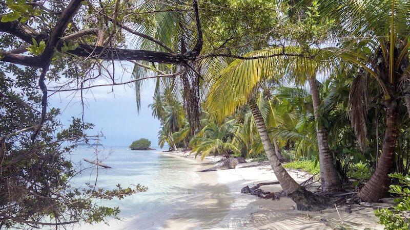 Beach oasis tucked inside of old growth trees as well as palm trees.