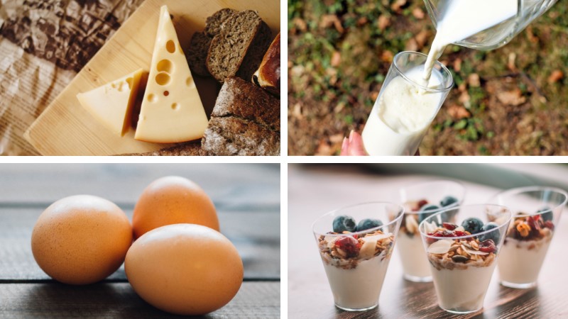 Collage of cheese, milk, three eggs, and four containers of yogurt with fruit. All dairy products.