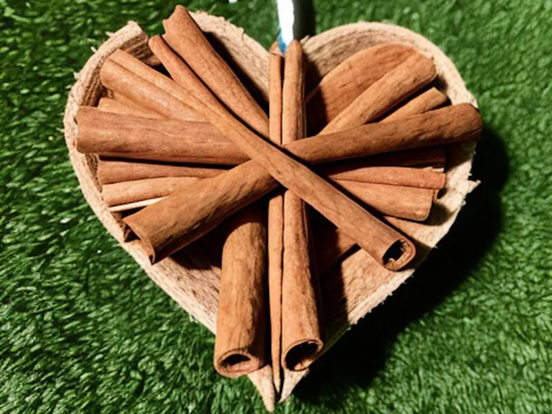 Cinnamon sticks bark, inside a heart-shaped nut in the grass.