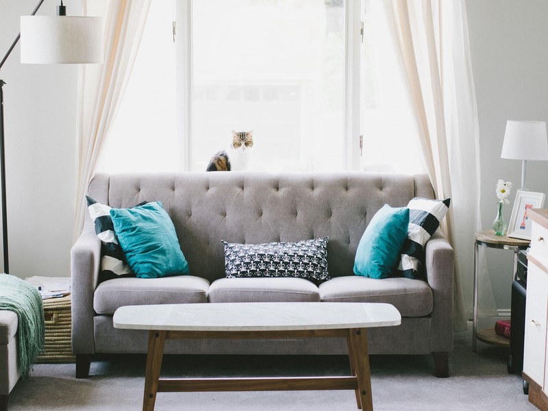 A living room with a gray couch and a cat sitting behind the couch near the window.