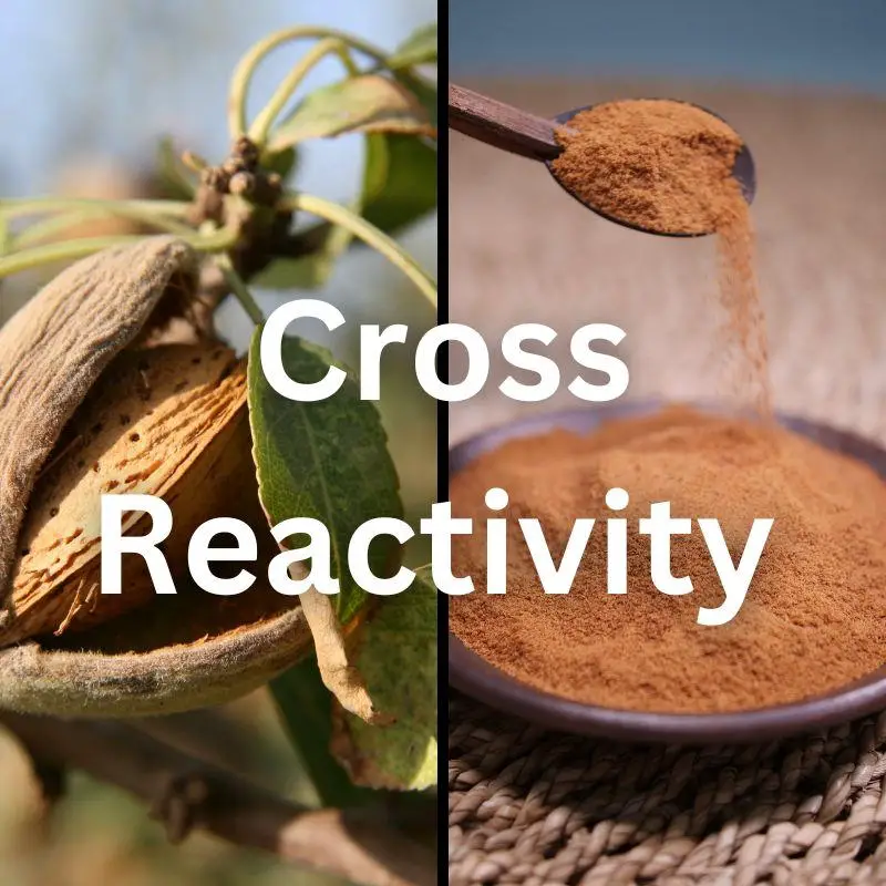 left image of a tree nut, right image of cinnamon being poured out of a spoon and into a bowl. Overlay words say "cross reactivity"