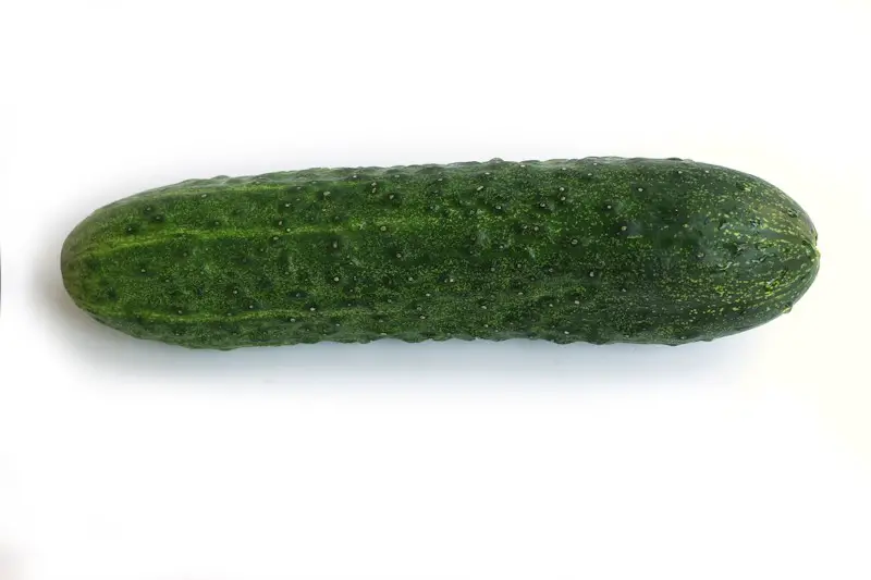 One single cucumber with a dark green flesh, with a white background.