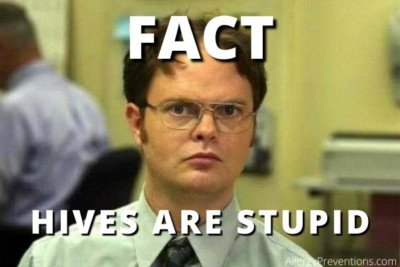 Dwight from The Office with a blank stare fact meme, Captioned: Fact, hives are stupid