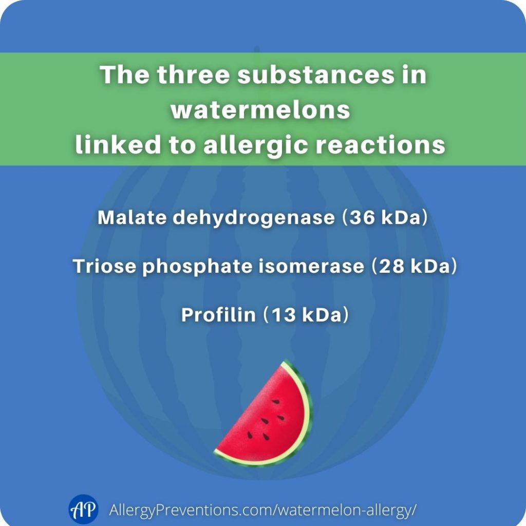 The three substances in watermelons  linked to allergic reactions are Malate dehydrogenase (36 kDa), Triose phosphate isomerase (28 kDa), Profilin (13 kDa)