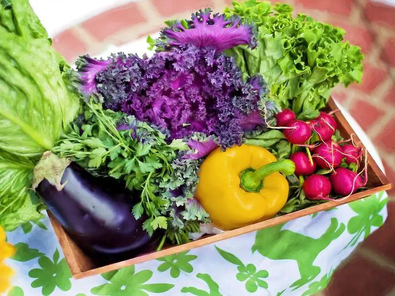 A wooden basket filled with fresh, colorful, vegetables.
