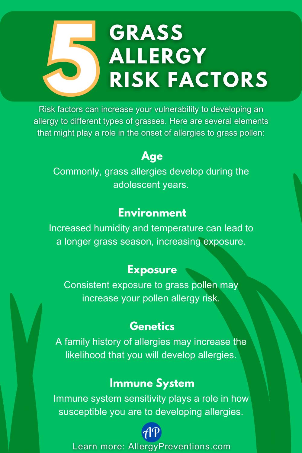 Grass allergy risk factors infographic. Risk factors can increase your vulnerability to developing an allergy to different types of grasses. Here are several elements that might play a role in the onset of allergies to grass pollen: Age: Commonly, grass allergies develop during the adolescent years. Environment: Increased humidity and temperature can lead to a longer grass season, increasing exposure. Exposure: Consistent exposure to grass pollen may increase your pollen allergy risk. Genetics: A family history of allergies may increase the likelihood that you will develop allergies. Immune System: Immune system sensitivity plays a role in how susceptible you are to developing allergies.