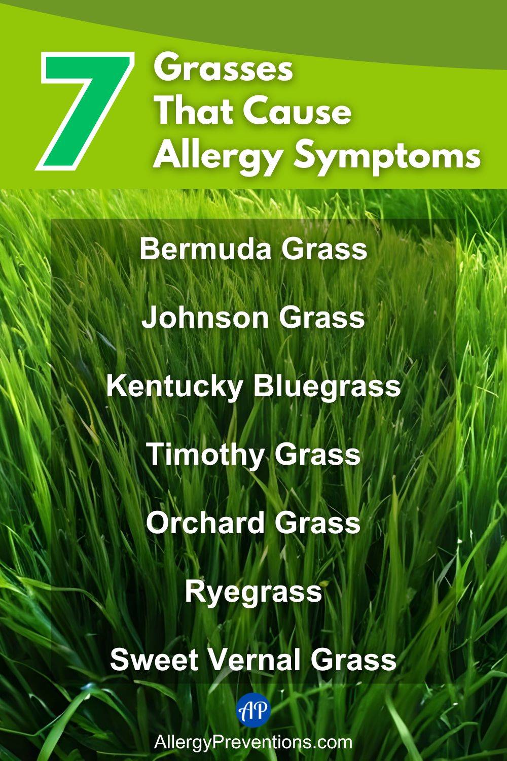 Grasses that cause allergy symptoms infographic. Here is a list of the 7 grasses that produce pollen, and that can cause allergy symptoms: Bermuda Grass, Johnson Grass, Kentucky Bluegrass, Timothy Grass, Orchard, Grass, Ryegrass and, Sweet Vernal Grass.