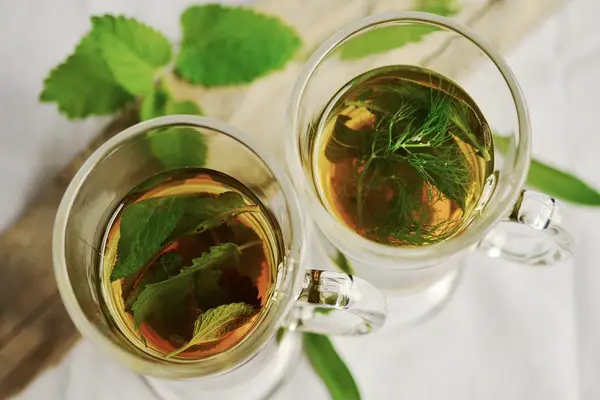 two glasses of herbal tea being brewed with whole leaves.