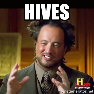 history channel scientist guy with crazy hair with the caption of “hives” 