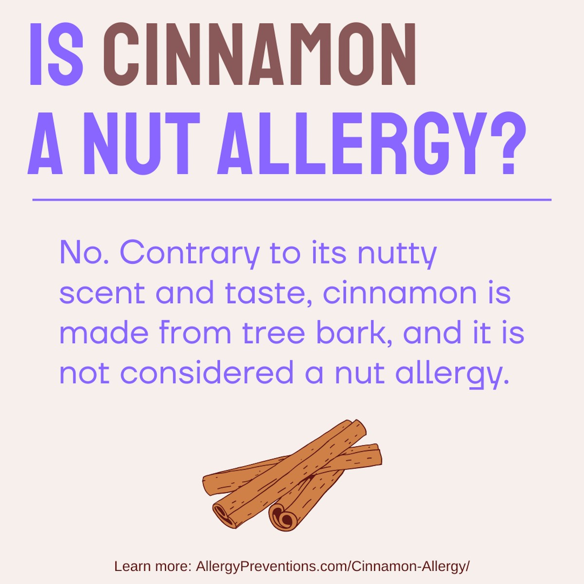 Is cinnamon a nut allergy infographic. No. Contrary to its nutty scent and taste, cinnamon is made from tree bark, and it is not considered a nut allergy.