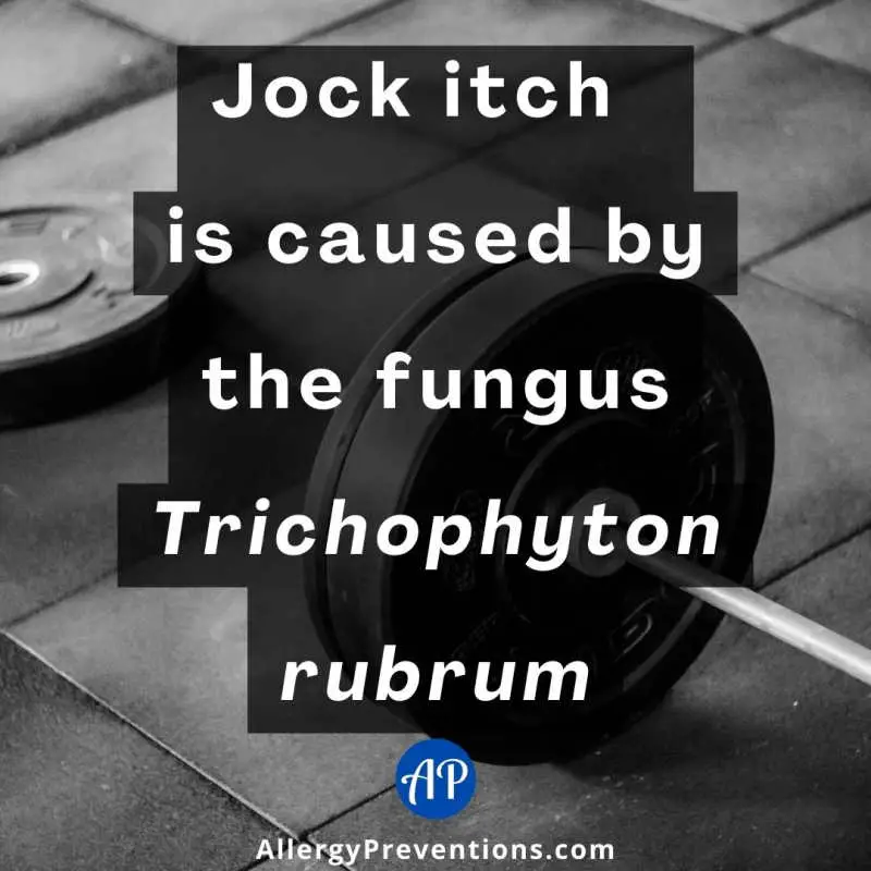 infographic stating the fact: Jock itch is caused by the fungus Trichophyton rubrum