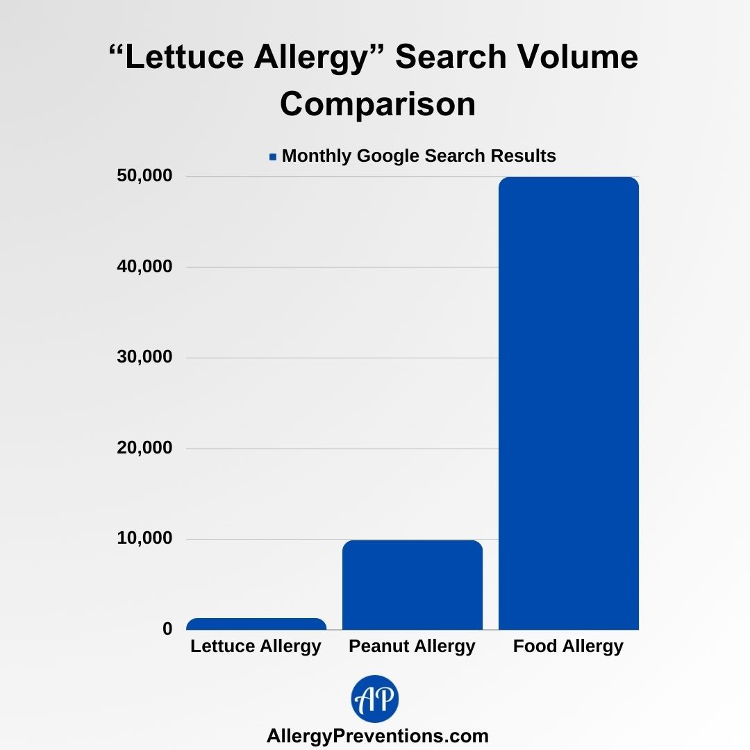 Lettuce allergy search volume comparison chart infographic. This chart shows the average amount of monthly searches for the terms "Lettuce Allergy", Peanut Allergy, and "Food Allergy". This chart shows that the term "lettuce allergy" gets about 1,300 monthly searches, "peanut allergy" and "food allergy" get 9,900 and 50,000 monthly searches respectively.