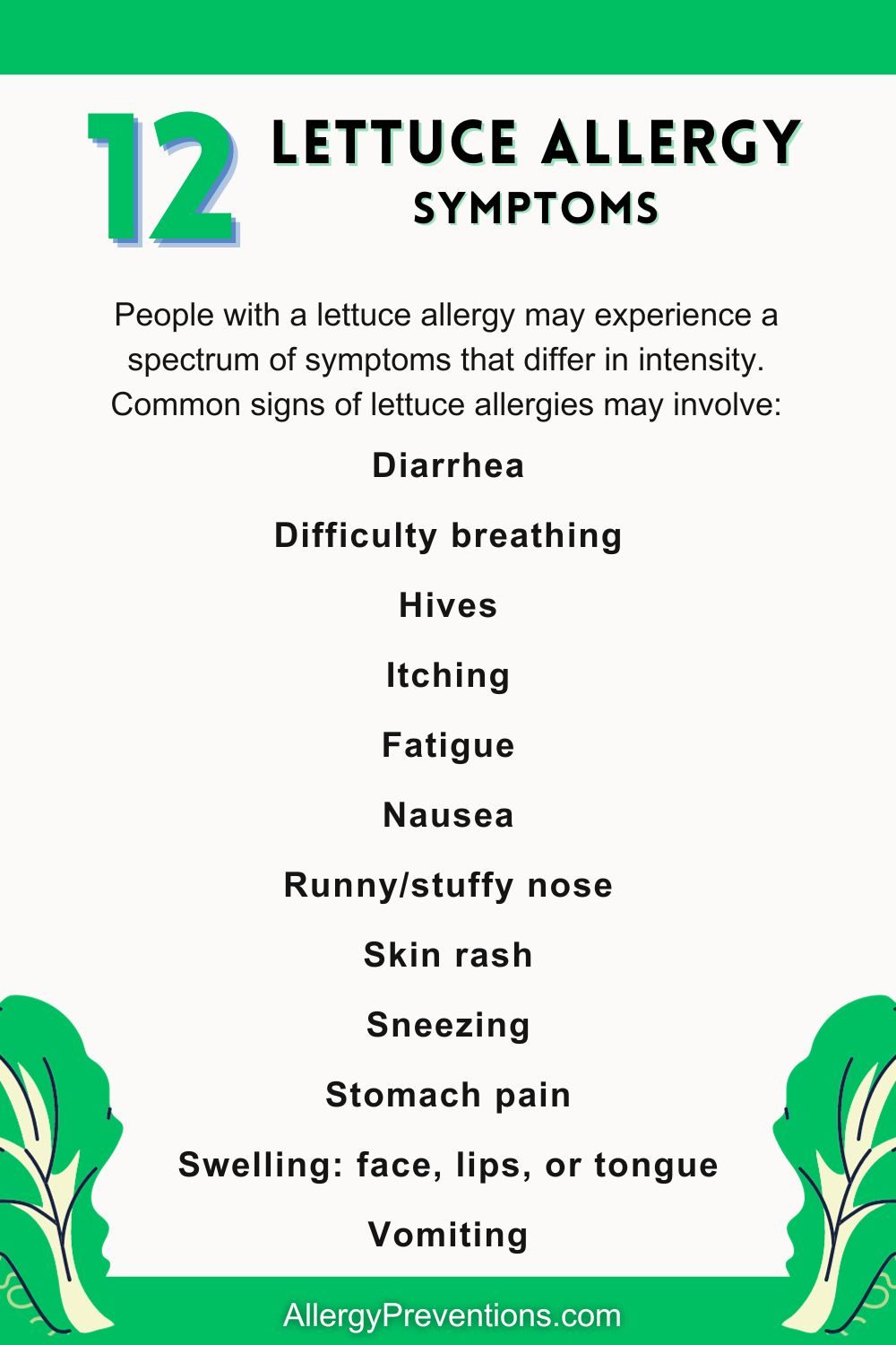 Lettuce allergy symptoms infographic. People with a lettuce allergy may experience a spectrum of symptoms that differ in intensity. Common signs of lettuce allergies may involve: Diarrhea, Difficulty breathing, Hives, Itching, Fatigue, Nausea, Runny/stuffy nose, Skin rash, Sneezing, Stomach pain, Swelling: face, lips, or tongue, Vomiting.