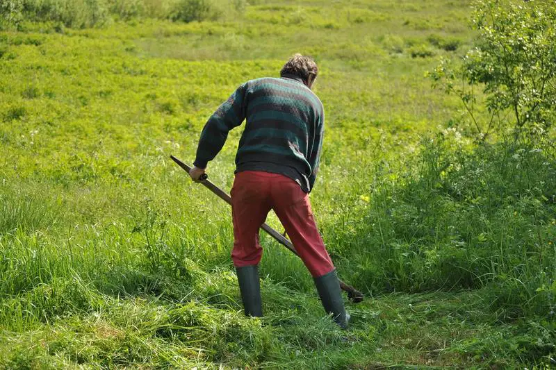 A man with long pants, long shirt and boots mowing the grass