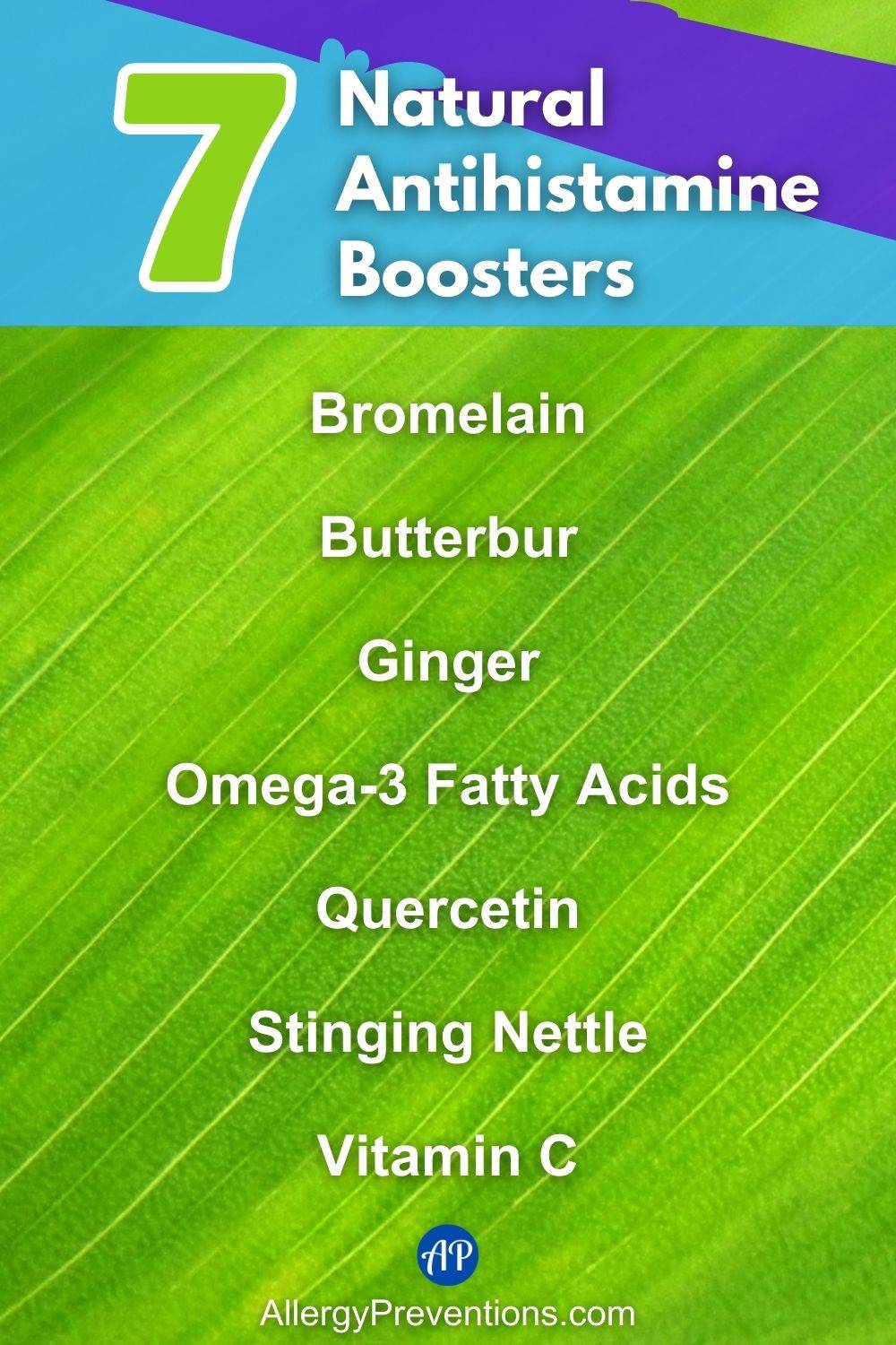 Natural Antihistamine Boosters Infographic. These foods are natural antihistamine boosters that may aid with soothing allergy and eczema symptoms: Bromelain, Butterbur, Ginger, Omega-3 Fatty Acids, Quercetin, Stinging Nettle, and Vitamin C.
