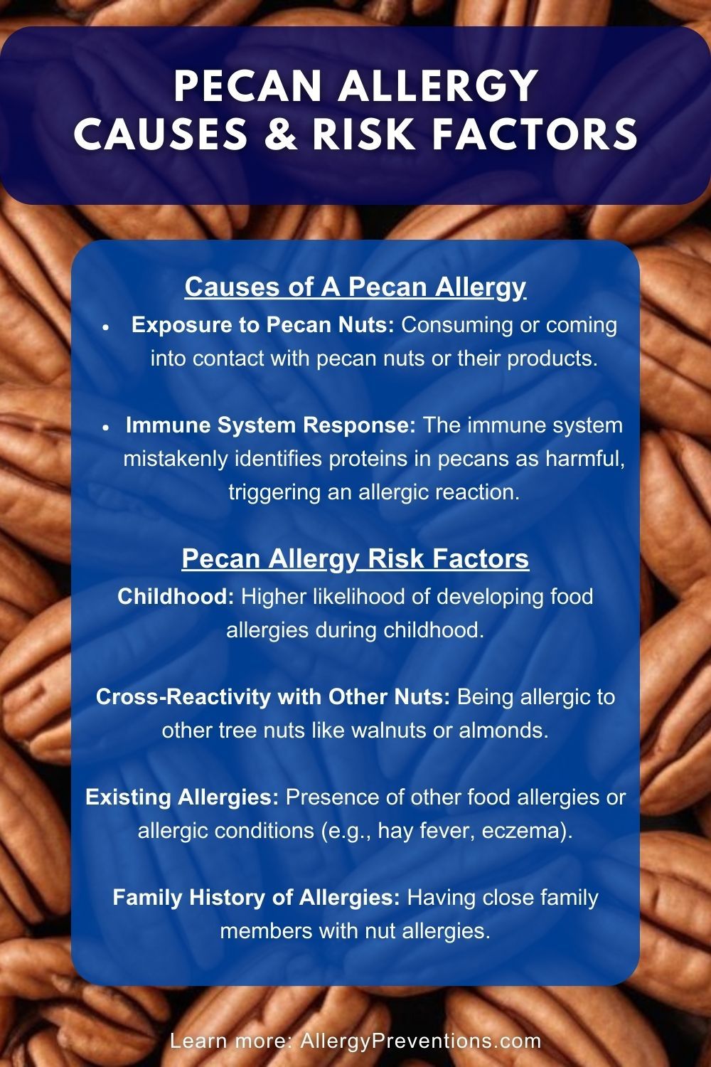 Pecan Allergy Causes and Risk Factors Infographic: Causes of A Pecan Allergy Exposure to Pecan Nuts: Consuming or coming into contact with pecan nuts or their products. Immune System Response: The immune system mistakenly identifies proteins in pecans as harmful, triggering an allergic reaction. Pecan Allergy Risk Factors Childhood: Higher likelihood of developing food allergies during childhood. Cross-Reactivity with Other Nuts: Being allergic to other tree nuts like walnuts or almonds. Existing Allergies: Presence of other food allergies or allergic conditions (e.g., hay fever, eczema). Family History of Allergies: Having close family members with nut allergies.