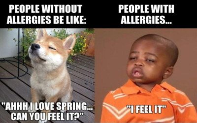 puppy sniffing the air happily, compared to a little boy with stuffy nose meme. Caption: People without allergies be like, ahh I love spring, can you feel it?. Boy - People with allergies, “I feel it” 