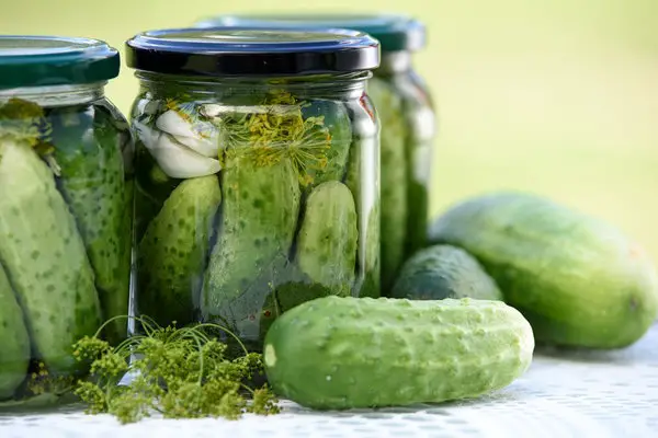 Jar of homemade pickles with herbs