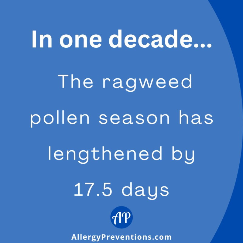 Ragweed season fact infographic. In one decade...The ragweed pollen season has lengthened by 17.5 days