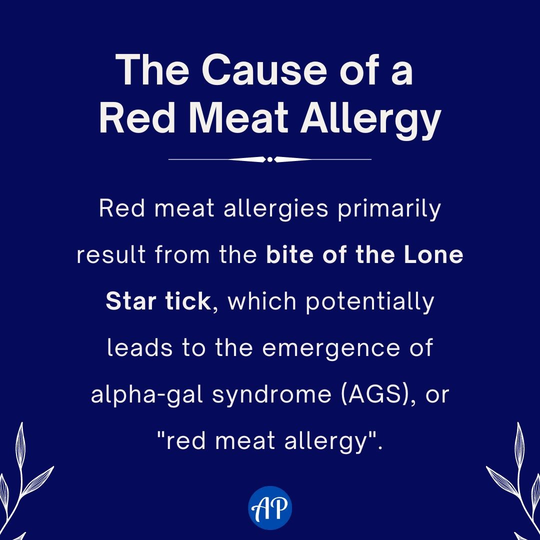 The cause of a red meat allergy infographic. Red meat allergies primarily result from the bite of the Lone Star tick, which potentially leads to the emergence of alpha-gal syndrome (AGS), or "red meat allergy".