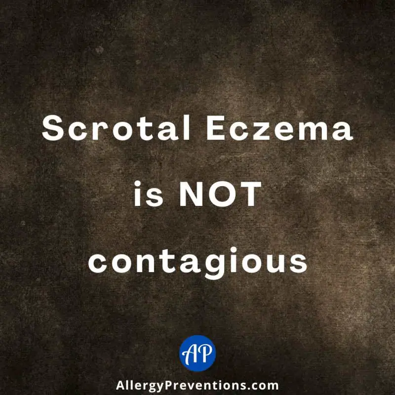 infographic stating the fact: Scrotal Eczema is not contagious