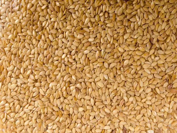 close up of sesame seeds