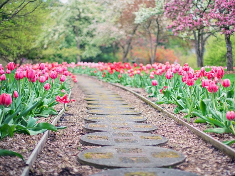 A walking path in a garden with stones, surrounded by blooming trees and flowers in spring.