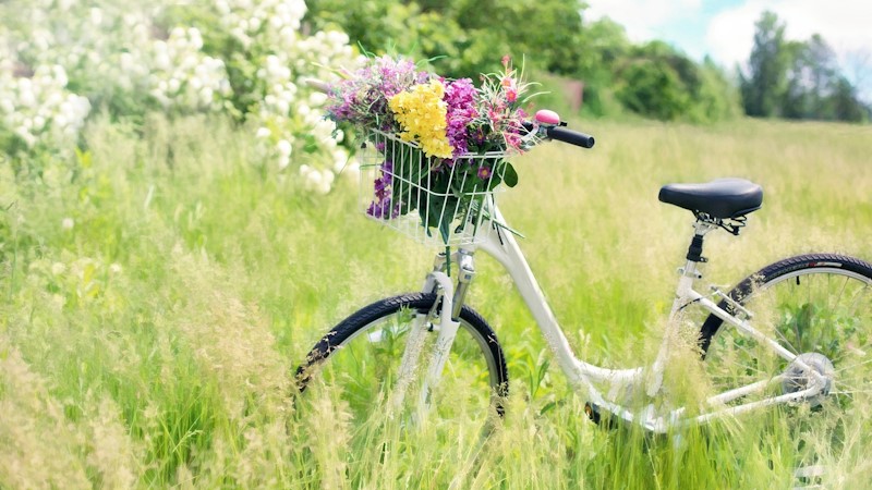 A bike inside a grassy field with a basket on the handle bars. The basket is full of colorful wild flowers.