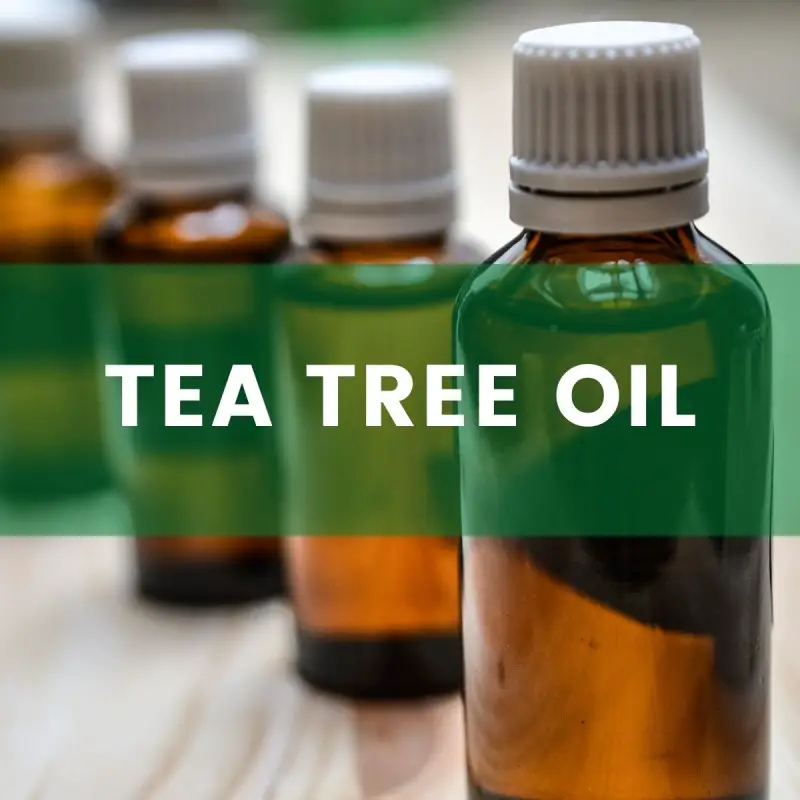 tea tree oil in essential oil bottles