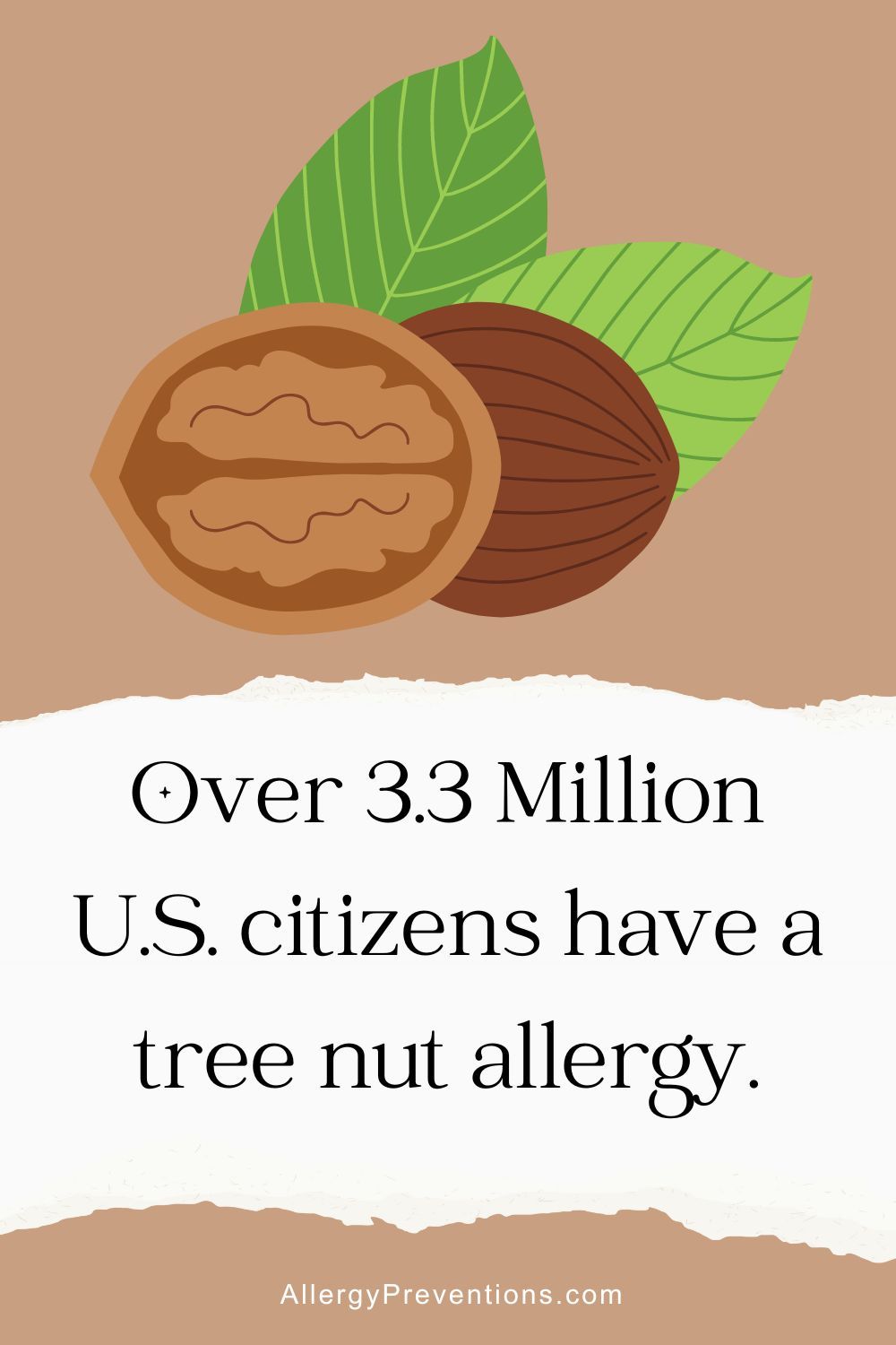 Tree nut allergy fact infographic: Over 3.3 million U.S. citizens have a tree nut allergy.