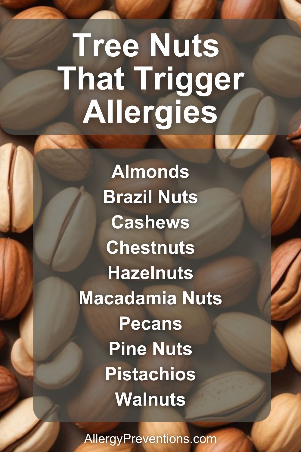 Tree nuts that trigger allergies infographic: Almonds, Brazil Nuts, Cashews, Chestnuts, Hazelnuts Macadamia Nuts, Pecans, Pine Nuts, Pistachios, and Walnuts.