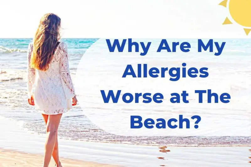why are my allergies worse at the beach title page allergy preventions