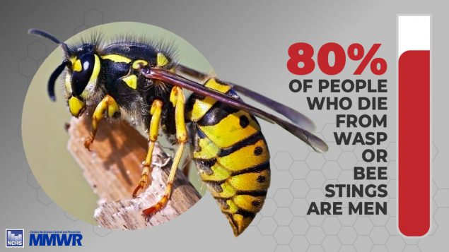 allergy preventions presents MMWR image of wasp that states 80% of people who die from wasp or bee stings are men. Source QuickStats: Number of Deaths from Hornet, Wasp, and Bee Stings, Among Males and Females — National Vital Statistics System, United States, 2000–2017. MMWR Morb Mortal Wkly Rep 2019;68:649. DOI: http://dx.doi.org/10.15585/mmwr.mm6829a5 