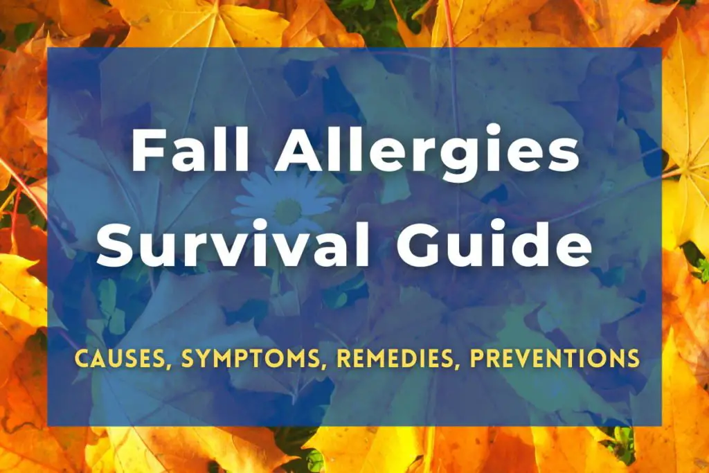 Fall Allergies Survival Guide Allergy Preventions