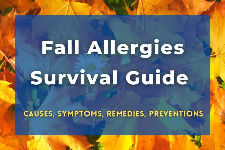 Fall Allergies Survival Guide - Allergy Preventions