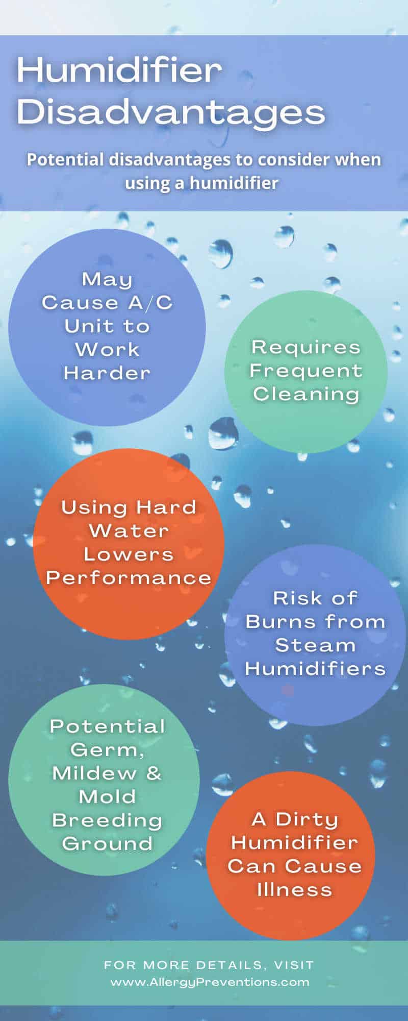 Should I Use a Humidifier in Summer? Allergy Preventions