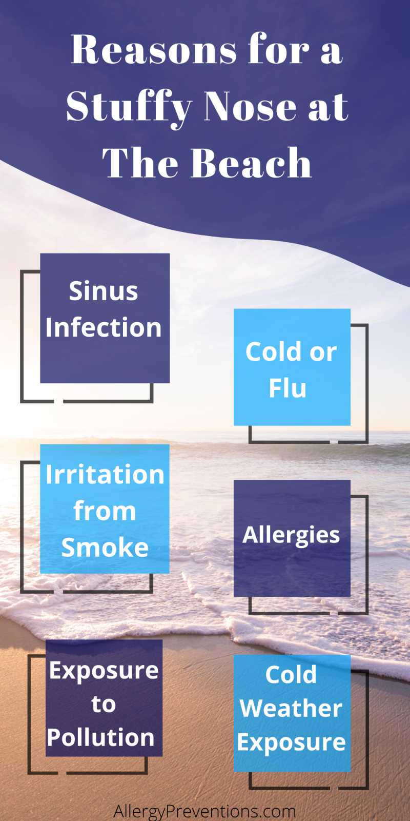 Reasons for a stuffy nose at the beach infographic. Sinus infection, cold or flu, irritation from smoke, allergies, cold weather exposure, exposure to pollution