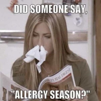 allergies meme of Jennifer Aniston from Friends blowing her nose: Did somebody say allergy season? 
