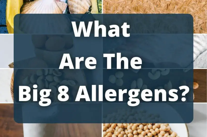 What-Are-The-Big 8-Allergens-blog