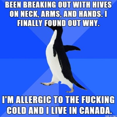 penguin walking meme about cold urticaria. Caption: Been breaking out with hives on neck, arms, and hands. I finally found out why. I’m allergic to the fucking cold and I live in Canada. 