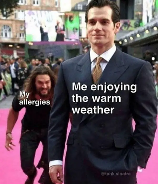 allergies meme of Jason Momoa sneaking up on a person. Man has the title “me enjoying the warm weather”. Jason Momoa title “My allergies.” 