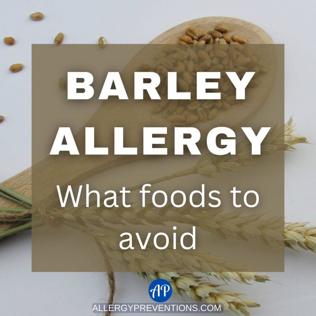 barley allergy-what foods to avoid title image with a wooden spoon filled with barley grains in the background