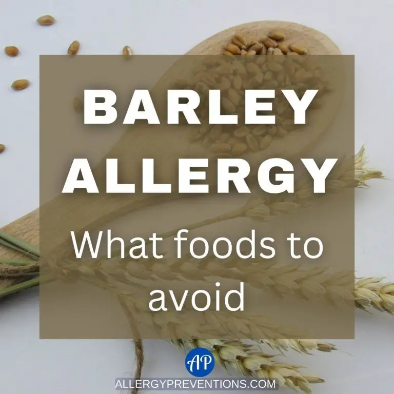 barley allergy-what foods to avoid title image with a wooden spoon filled with barley grains in the background